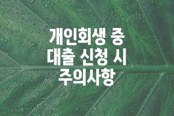 개인회생 중 대출 신청 시 주의사항