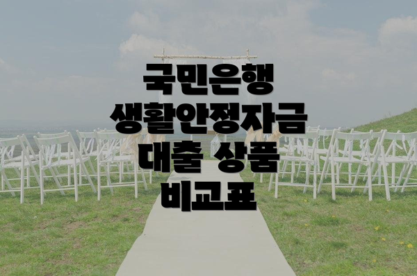 국민은행 생활안정자금 대출 상품 비교표