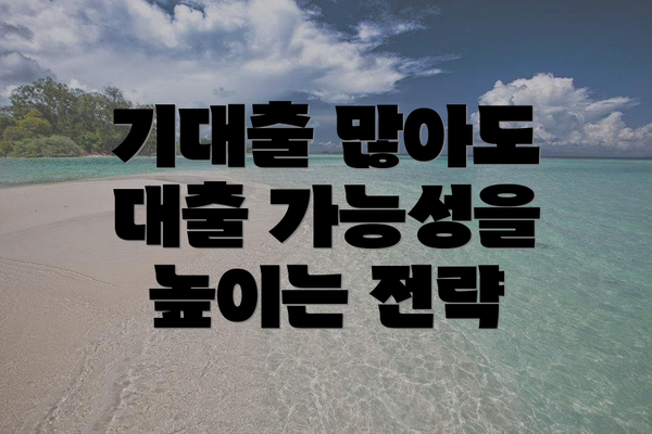 기대출 많아도 대출 가능성을 높이는 전략