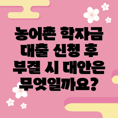 농어촌 학자금 대출 신청 후 부결 시 대안은 무엇일까요?