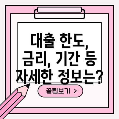 대출 한도, 금리, 기간 등 자세한 정보는?