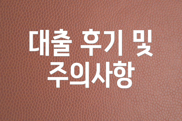 대출 후기 및 주의사항