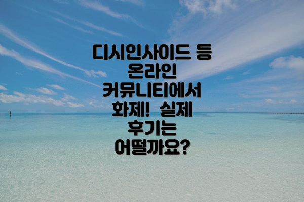 디시인사이드 등 온라인 커뮤니티에서 화제!  실제 후기는 어떨까요?