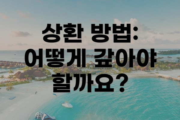 상환 방법: 어떻게 갚아야 할까요?