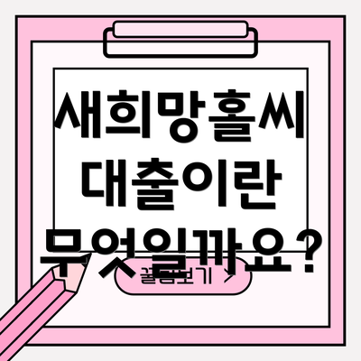 새희망홀씨 대출이란 무엇일까요?