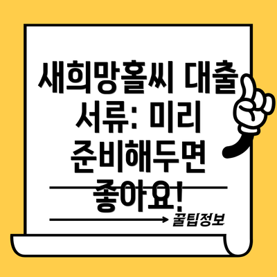 새희망홀씨 대출 서류: 미리 준비해두면 좋아요!