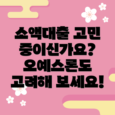 소액대출 고민 중이신가요? 오예스론도 고려해 보세요!