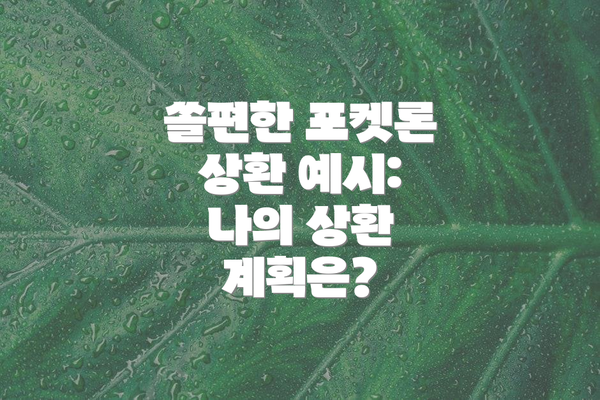 쏠편한 포켓론 상환 예시:  나의 상환 계획은?