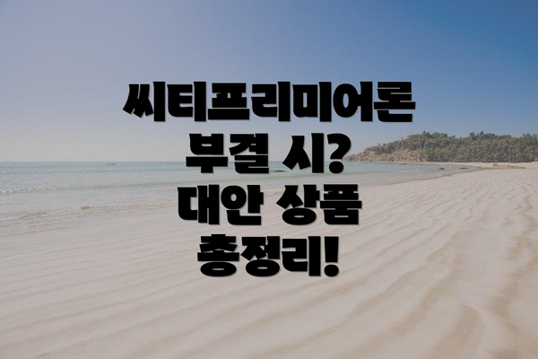 씨티프리미어론 부결 시?  대안 상품 총정리!