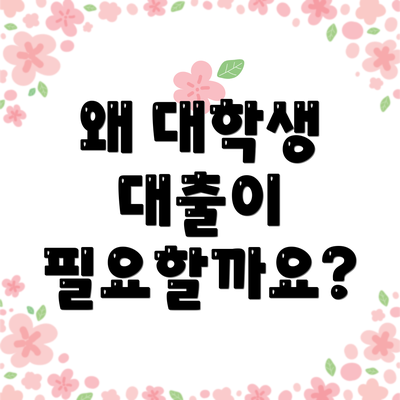왜 대학생 대출이 필요할까요?