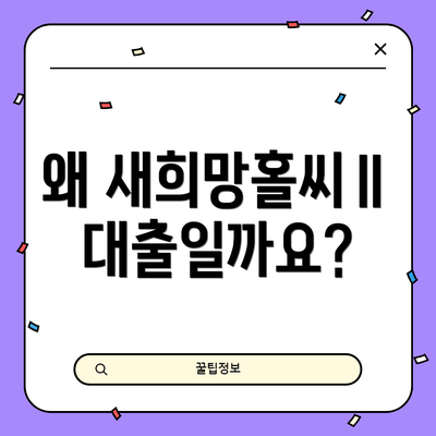 왜 새희망홀씨Ⅱ 대출일까요?