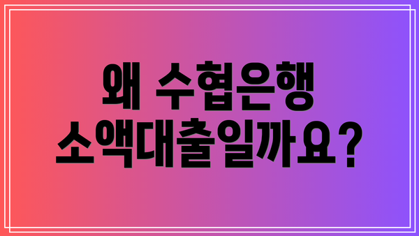 왜 수협은행 소액대출일까요?
