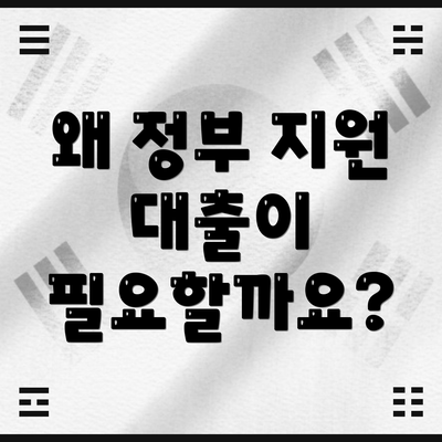 왜 정부 지원 대출이 필요할까요?