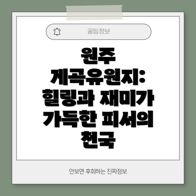 원주 게곡유원지: 힐링과 재미가 가득한 피서의 천국