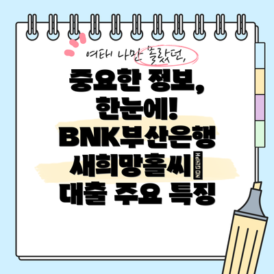 중요한 정보, 한눈에!  BNK부산은행 새희망홀씨Ⅱ 대출 주요 특징