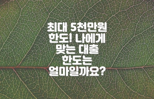 최대 5천만원 한도! 나에게 맞는 대출 한도는 얼마일까요?