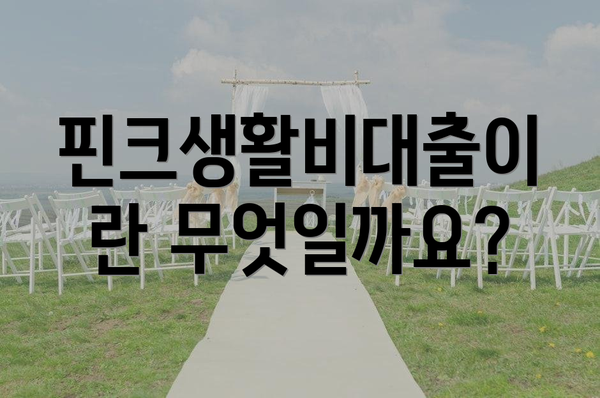 핀크생활비대출이란 무엇일까요?