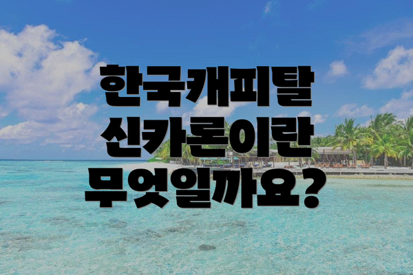 한국캐피탈 신카론이란 무엇일까요?