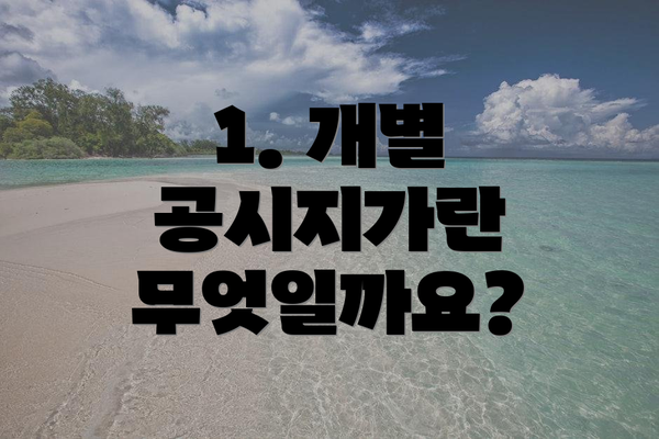 1. 개별 공시지가란 무엇일까요?