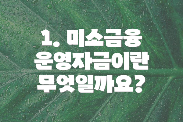 1. 미소금융 운영자금이란 무엇일까요?
