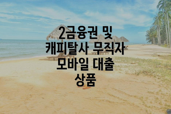 2금융권 및 캐피탈사 무직자 모바일 대출 상품