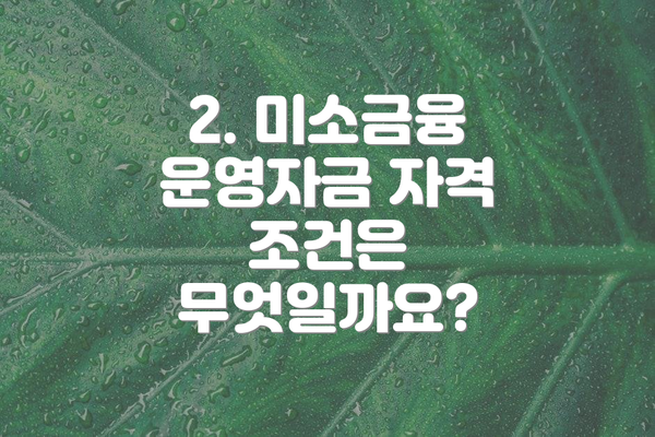 2. 미소금융 운영자금 자격 조건은 무엇일까요?