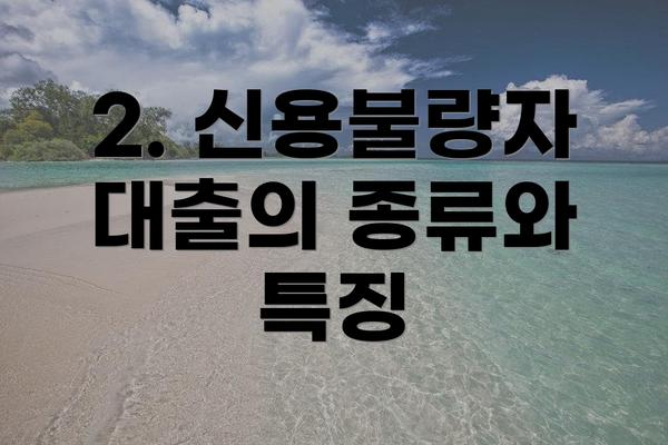 2. 신용불량자 대출의 종류와 특징