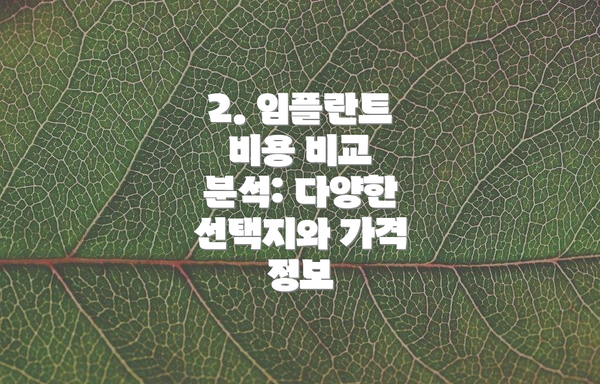 2. 임플란트 비용 비교 분석: 다양한 선택지와 가격 정보