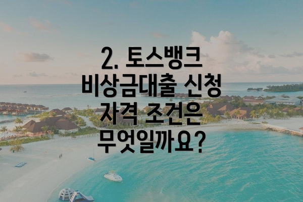 2. 토스뱅크 비상금대출 신청 자격 조건은 무엇일까요?