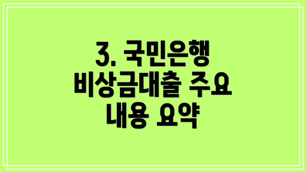 3. 국민은행 비상금대출 주요 내용 요약