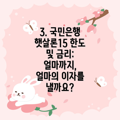 3. 국민은행 햇살론15 한도 및 금리: 얼마까지, 얼마의 이자를 낼까요?