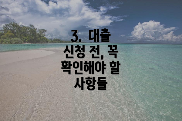 3.  대출 신청 전, 꼭 확인해야 할 사항들