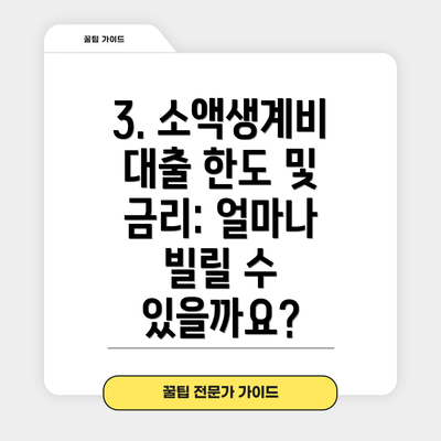 3. 소액생계비 대출 한도 및 금리: 얼마나 빌릴 수 있을까요?
