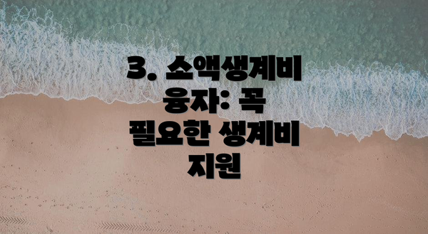 3. 소액생계비 융자: 꼭 필요한 생계비 지원