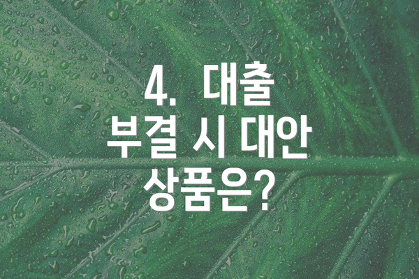 4.  대출 부결 시 대안 상품은?
