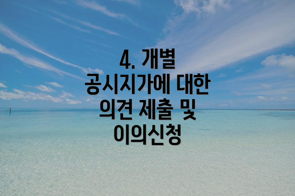 4. 개별 공시지가에 대한 의견 제출 및 이의신청