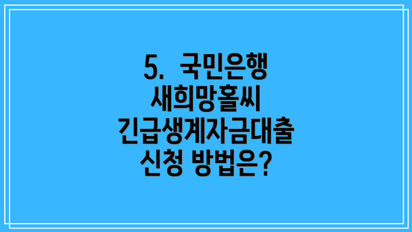5.  국민은행 새희망홀씨 긴급생계자금대출 신청 방법은?
