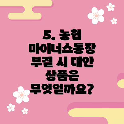 5. 농협 마이너스통장 부결 시 대안 상품은 무엇일까요?