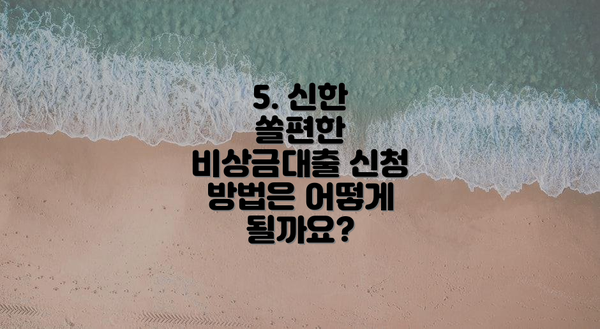 5. 신한 쏠편한 비상금대출 신청 방법은 어떻게 될까요?