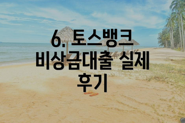 6. 토스뱅크 비상금대출 실제 후기