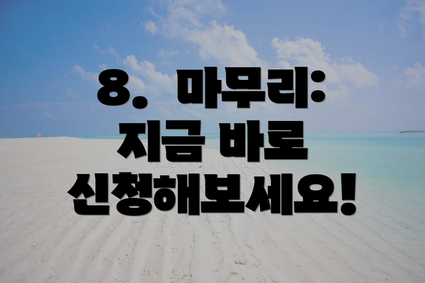 8.  마무리: 지금 바로 신청해보세요!