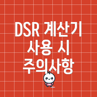 DSR 계산기 사용 시 주의사항