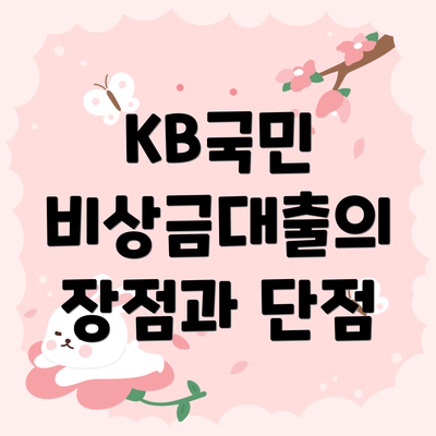 KB국민 비상금대출의 장점과 단점