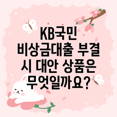KB국민 비상금대출 부결 시 대안 상품은 무엇일까요?
