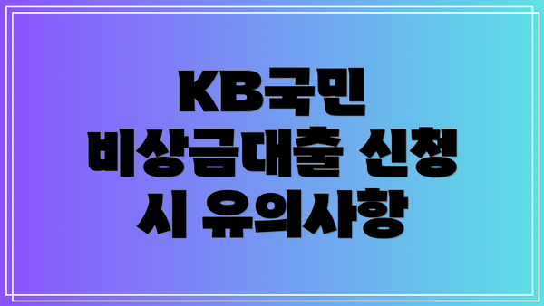 KB국민 비상금대출 신청 시 유의사항