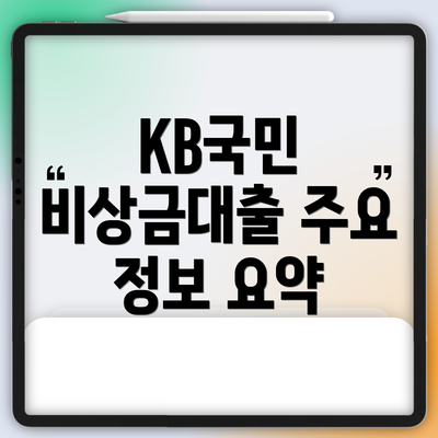 KB국민 비상금대출 주요 정보 요약