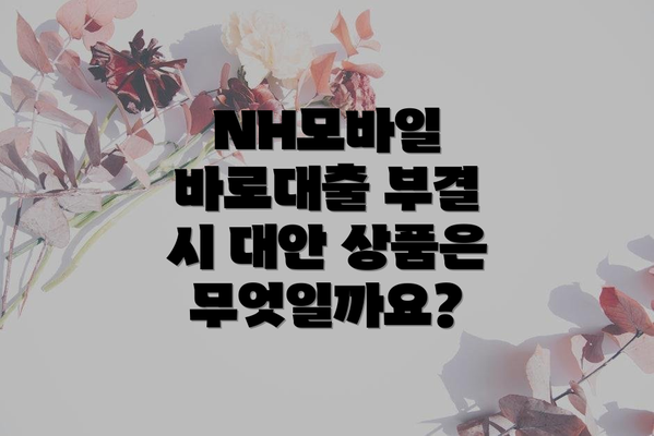 NH모바일 바로대출 부결 시 대안 상품은 무엇일까요?
