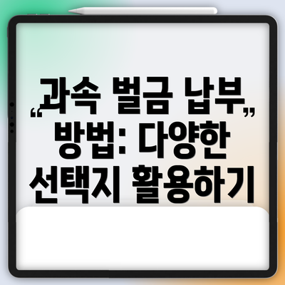 과속 벌금 납부 방법: 다양한 선택지 활용하기