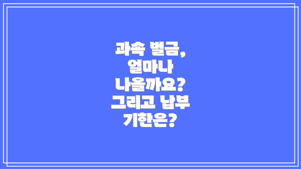 과속 벌금, 얼마나 나올까요? 그리고 납부 기한은?