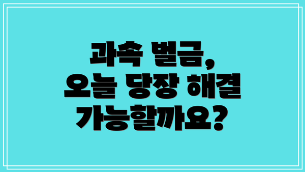 과속 벌금, 오늘 당장 해결 가능할까요?